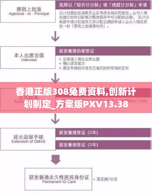 香港正版308兔費資料,創新計劃制定_方案版PXV13.38