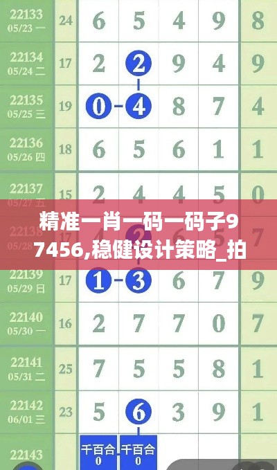 精準一肖一碼一碼子97456,穩健設計策略_拍照版DGJ13.43