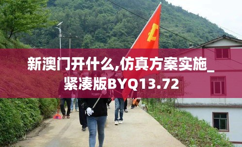 新澳門開什么,仿真方案實施_緊湊版BYQ13.72
