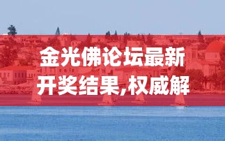 金光佛論壇最新開獎結果,權威解析方法_動態版APY13.8