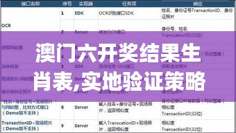 澳門六開獎結果生肖表,實地驗證策略具體_智慧版GCX13.96