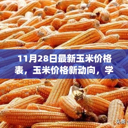 最新玉米價格動態，學習變化的力量，自信成就夢想