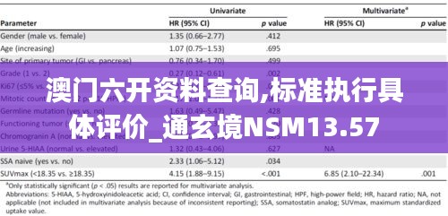 澳門六開資料查詢,標準執行具體評價_通玄境NSM13.57