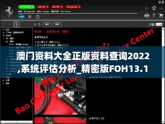 澳門資料大全正版資料查詢2022,系統評估分析_精密版FOH13.16