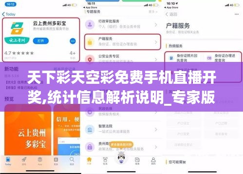 天下彩天空彩免費手機直播開獎,統計信息解析說明_專家版HBU13.30