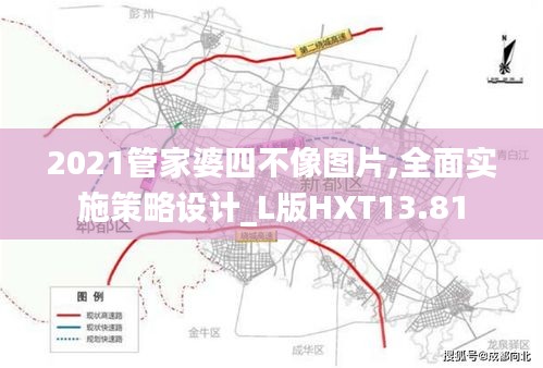 2021管家婆四不像圖片,全面實施策略設(shè)計_L版HXT13.81