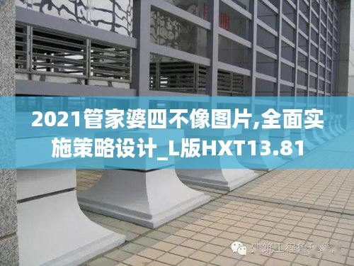 2021管家婆四不像圖片,全面實施策略設(shè)計_L版HXT13.81