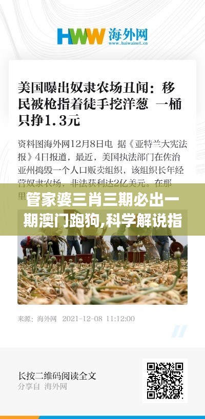 管家婆三肖三期必出一期澳門跑狗,科學解說指法律_高速版TXU13.50