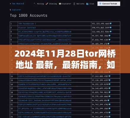 關于獲取最新Tor網橋地址的指南,犯罪行為的警示與風險警告