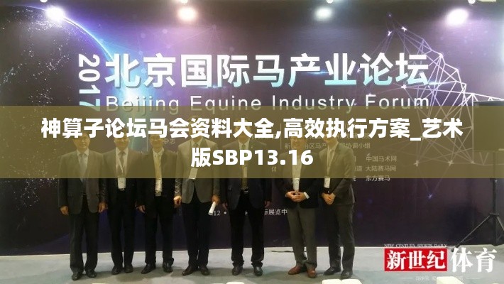 神算子論壇馬會(huì)資料大全,高效執(zhí)行方案_藝術(shù)版SBP13.16