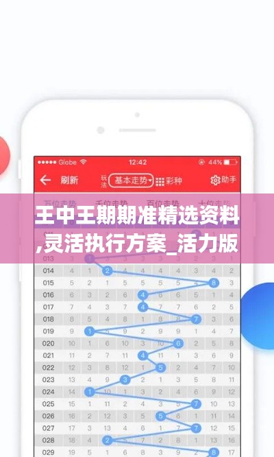 王中王期期準精選資料,靈活執行方案_活力版OJL13.15