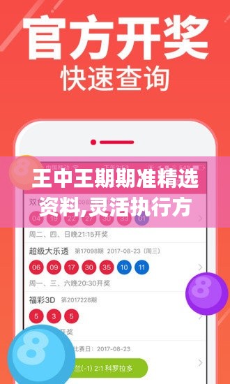 王中王期期準精選資料,靈活執行方案_活力版OJL13.15