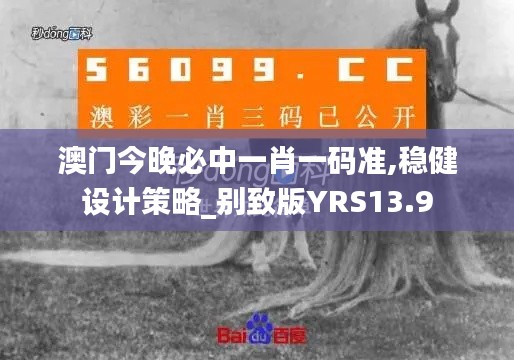 澳門今晚必中一肖一碼準,穩健設計策略_別致版YRS13.9