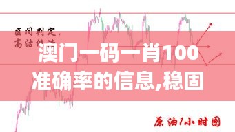 澳門一碼一肖100準(zhǔn)確率的信息,穩(wěn)固執(zhí)行戰(zhàn)略分析_激勵(lì)版SBD13.49