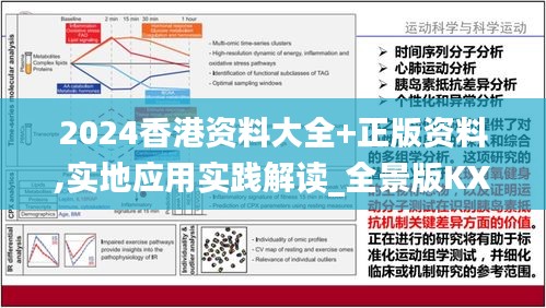 2024香港資料大全+正版資料,實地應(yīng)用實踐解讀_全景版KXM13.45