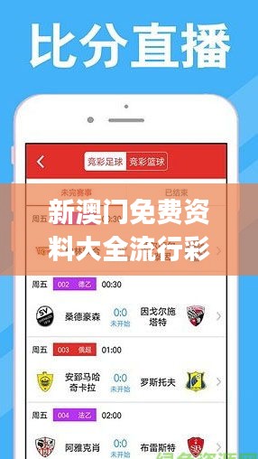 新澳門免費資料大全流行彩,高效執行方案_VR版CJI13.16