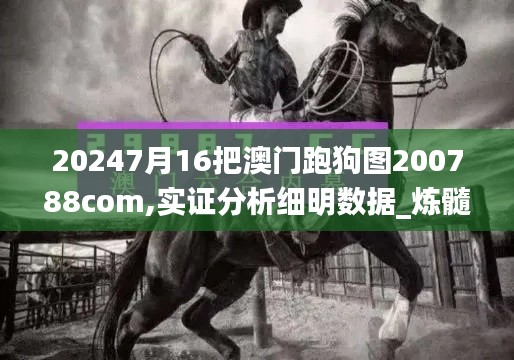 20247月16把澳門跑狗圖200788com,實證分析細明數(shù)據(jù)_煉髓境NRJ13.48