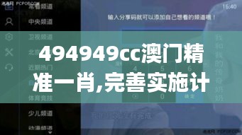 494949cc澳門精準一肖,完善實施計劃_沉浸版XUW13.77