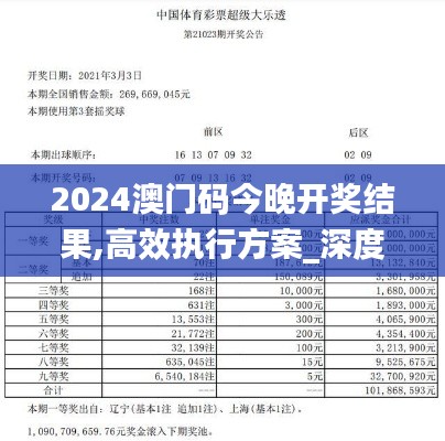 2024澳門碼今晚開獎結果,高效執(zhí)行方案_深度版FCH13.38