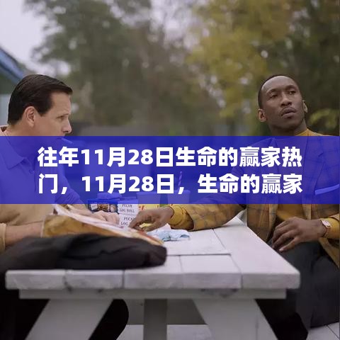 11月28日,生命的贏家與溫暖日常的交織