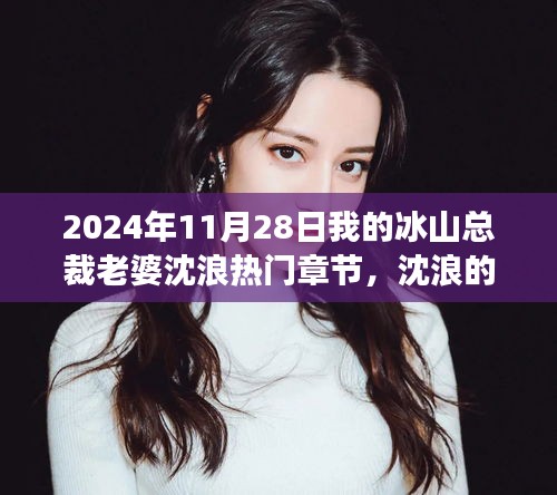 冰山總裁沈浪的心靈之旅與美景探索之旅