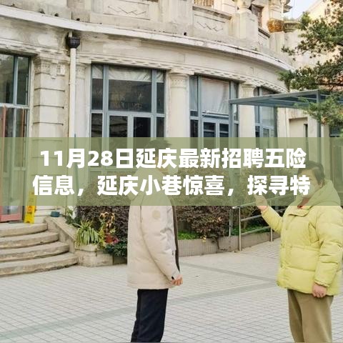 11月28日延慶最新招聘信息與特色小店探尋，五險信息大解密