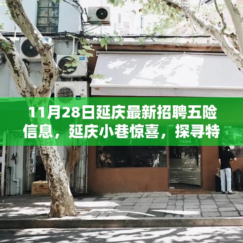 11月28日延慶最新招聘信息與特色小店探尋,五險信息大解密