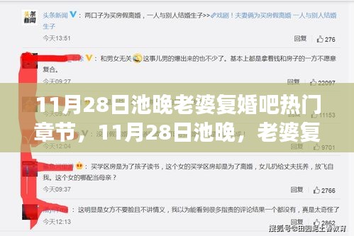 11月28日池晚與老婆復婚話題熱門章節(jié)解讀及情感案例分析