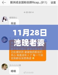 11月28日池晚與老婆復婚話題熱門章節解讀及情感案例分析