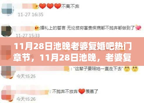 11月28日池晚與老婆復婚話題熱門章節(jié)解讀及情感案例分析