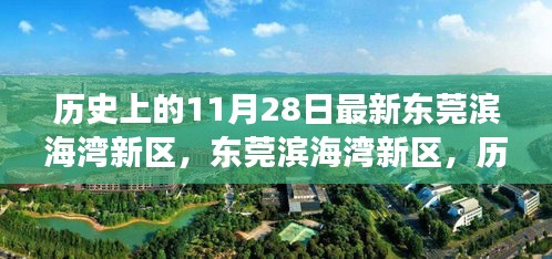 東莞濱海灣新區(qū)，歷史與未來的交匯點(diǎn)，探尋小巷獨(dú)特風(fēng)味當(dāng)日記實(shí)