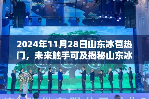 揭秘山東冰苞熱門高科技產品,科技之光照亮生活新篇章(2024年展望)