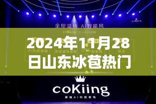揭秘山東冰苞熱門高科技產品,科技之光照亮生活新篇章(2024年展望)