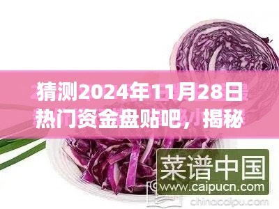 揭秘寶藏資金盤,探秘特色小店之旅——2024年資金盤貼吧熱門預測與探秘體驗