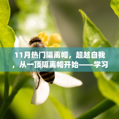 超越自我,從隔離帽開始的學(xué)習(xí)之旅,自信與成就感的蛻變之路