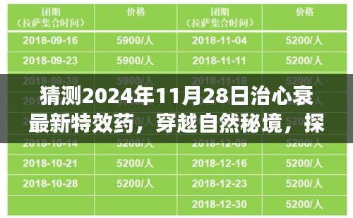 探尋未來奇跡,穿越自然秘境,揭秘心衰特效藥的心靈之旅(預(yù)計于2024年11月揭曉)