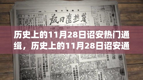 歷史上的11月28日詔安通緝事件深度解讀,事件背后的大揭秘