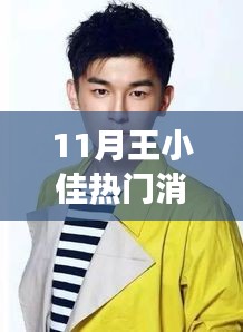 王小佳十一月熱門消息揭秘，多維解讀背后的故事