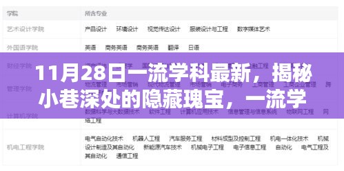 11月28日一流學(xué)科最新揭秘,小巷深處的獨(dú)特風(fēng)味小店,隱藏瑰寶的揭秘之旅