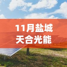 鹽城天合光能熱門招聘應聘全攻略,從入門到成功應聘的每一步解析