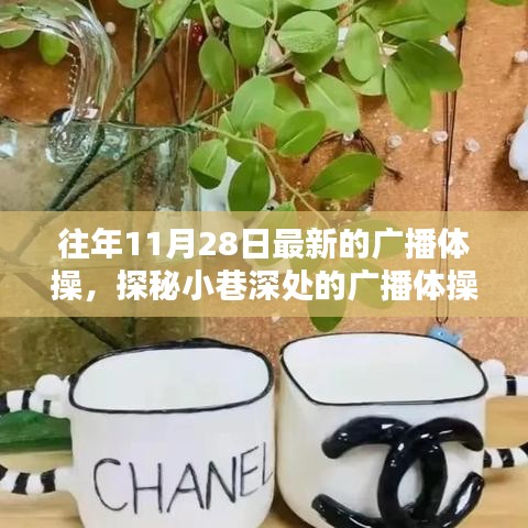 探秘小巷深處的廣播體操寶藏小店,最新廣播體操一覽