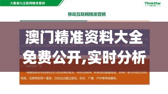 澳門精準資料大全免費公開,實時分析處理_旅行版MCF18.648