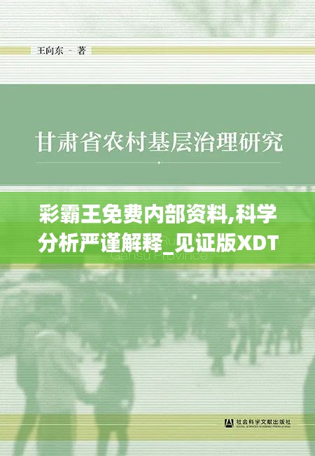 彩霸王免費內部資料,科學分析嚴謹解釋_見證版XDT42.256