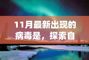 11月病毒來襲之際,自然美景之旅,尋找心靈寧靜的避風港