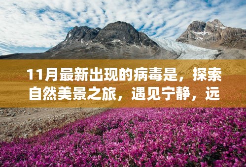 11月病毒來襲之際,自然美景之旅,尋找心靈寧靜的避風港