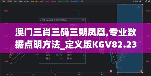 澳門三肖三碼三期鳳凰,專業數據點明方法_定義版KGV82.237