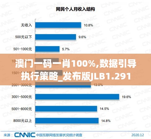 澳門一碼一肖100%,數據引導執行策略_發布版JLB1.291