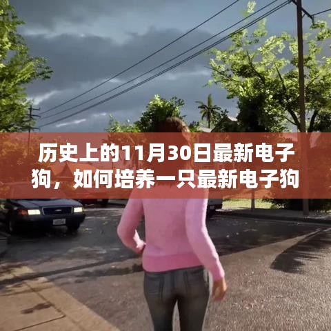 歷史上的11月30日，最新電子狗的培養(yǎng)指南與詳細(xì)指南解析