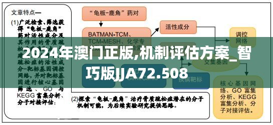 2024年澳門正版,機制評估方案_智巧版JJA72.508