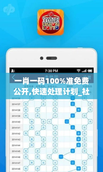 一肖一碼100%準(zhǔn)免費(fèi)公開,快速處理計劃_社區(qū)版WNH68.356